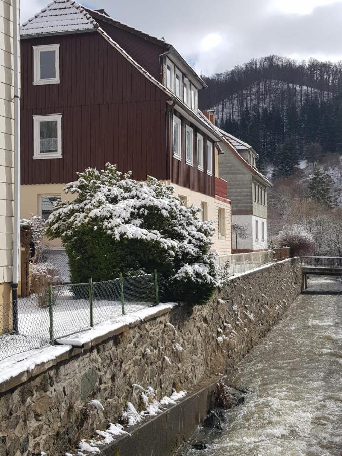 Ferienhaus Am Fluss Mit Traumhafter Dachterrasse ,Garten Und Grill Валькенрид Экстерьер фото