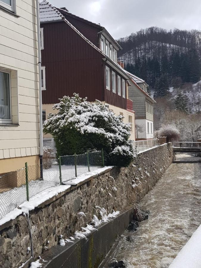 Ferienhaus Am Fluss Mit Traumhafter Dachterrasse ,Garten Und Grill Валькенрид Экстерьер фото