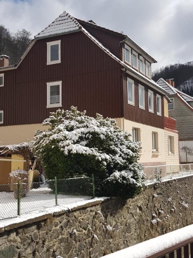 Ferienhaus Am Fluss Mit Traumhafter Dachterrasse ,Garten Und Grill Валькенрид Экстерьер фото