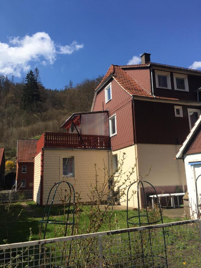 Ferienhaus Am Fluss Mit Traumhafter Dachterrasse ,Garten Und Grill Валькенрид Экстерьер фото